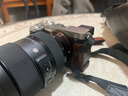 索尼（SONY）索尼 适用索尼相机 微单 镜头（京仓） A7C2专用皮套(斯莫格) 实拍图