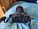 索尼（SONY）ILCE-7M4/A7M4全画幅微单数码相机专业级a74 α7IV A7M4单机身 官方标配 实拍图