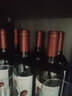KAKTOS仙人掌【锋芒系列】赤霞珠干红进口酒 750ml*6 价保双11 热门商品 实拍图
