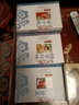 中小学生国学启蒙：笠翁对韵 三字经 成语故事 全三册 全文注音 注释译文知识点一网打尽 中华传统经典 实拍图