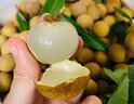 甜萌果蔬【顺丰/jd】新鲜龙眼 送人礼品 储良石峡新鲜桂圆水果送礼 9斤 精选装【石硖龙眼】净重8 实拍图