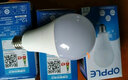 欧普照明（OPPLE）充电式LED灯泡地摊夜市摆摊超亮移动无线USB应急停电地摊灯球泡 【两只】充电4W白光（无充电线） 实拍图
