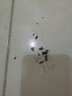 郁康蟑螂药杀虫剂杀蟑胶饵家用厨房全窝室内端除蟑螂饵剂 杀蟑胶饵 郁康蟑螂药1盒装（6粒） 实拍图