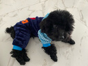 狗狗衣服小狗博美比熊泰迪犬中小型犬四脚衣宠物猫咪秋冬装情侣服 蓝色papa 冬款 单件 S 实拍图