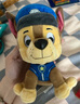 汪汪队立大功（PAW PATROL）狗狗巡逻队毛绒玩具男女孩可爱小狗玩偶公仔儿童节礼品生日礼物 汪汪队毛绒-15-18cm小号阿奇 cm 实拍图