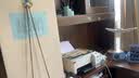 爱普生（EPSON）打印机墨仓式复印扫描无线办公家用多功能一体机A4小型彩色照片打印 L3253 官方标配：内含原装墨水一套 实拍图