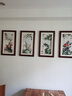 紫腾随轩梅兰竹菊挂画新中式四联壁画中国风四条屏客厅沙发背景墙画装饰画 图3 35*60cm*4红木色实木框 实拍图