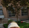 HeyBetter儿童防晒帽UPF50+无顶遮阳帽遮脸防风防紫外线男女童光变莫兰迪 晒单实拍图