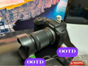 佳能（Canon） EOS R7 微单相机 高速度 高分辨率 APS-C画幅 r7专业数码相机 R7+RF-S18-150套机【一镜头走天下】 套餐一【含64G内存卡~送799摄影大礼包】 晒单实拍图