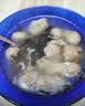 郑森记正宗肉燕福州小吃手工太平肉燕馄饨云吞速食扁肉水饺中华老字号 太平肉燕275g*3 实拍图