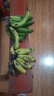 繁浮云南高山香蕉 香甜软糯自然熟青蕉香蕉当季新鲜水果整箱 精品 10斤 大香蕉（净重8.8-9.2斤） 晒单实拍图