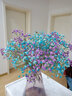 爱满（AIMAN）满天星天然干花花束ins网红生日 新房装饰摆件风干真插花家居摆设 紫+蓝满天星  【不带花瓶】 实拍图