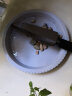 雅亭 鑫腾花卉 圆形塑料托盘 花盆托盘 托盘 圆形波浪边 塑料花盆盆栽 450型内口径33厘米单个价格 砖红色 实拍图