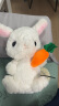 快乐音符会学说话的兔子复读玩偶唱歌跳舞小白兔儿童电动毛绒玩具公仔女孩 白色大耳朵兔 官方标配（USB直充+遥控器） 晒单实拍图