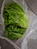 绿食者 新鲜绿叶生菜500g 罗莎绿花边花叶生菜西餐沙拉食材健康轻食蔬菜 实拍图