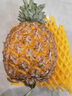 沐瑾正宗海南芒果凤梨菠萝台农23号金芒凤梨当季现发孕妇新鲜水果整箱 2.5斤-3斤丨小果丨2-3个丨含箱 实拍图