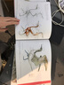 国际插画大师惠特拉奇的动物画教程套装全3册（艺用生物解剖 创造奇幻生物的法则 从现实到幻想） 实拍图