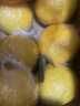 绿鲜森柚子纯甜黄金贡柚新鲜现摘当季水果生鲜礼盒 五斤大果（好吃就对了80mm起） 实拍图