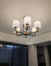 欧普（OPPLE）新中式吊灯轻奢大气客厅灯简约现代中式灯具灯饰套餐 新中式 8头 客厅吊灯 实拍图