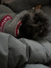 拉维佩特（LOVINGPET）泰迪狗狗衣服冬天 羊羔绒宠物衣服小型犬冬季比熊衣服幼犬猫衣服 灰色 S 建议5-6斤 晒单实拍图