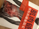 肌肉链：脊柱的螺旋稳定 实拍图