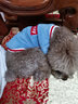 拉维佩特（LOVINGPET）泰迪狗狗衣服冬天 羊羔绒宠物衣服小型犬冬季比熊衣服幼犬猫衣服 蓝灰色 XL 建议15-20斤 实拍图