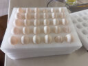 均鲜新鲜鸽子蛋杂粮喂养农家特产白鸽蛋信鸽蛋孕妇宝宝儿童土鸽子蛋 60枚鲜鸽蛋 实拍图