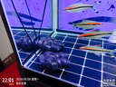 森森双头打浪泵吸盘磁铁造流泵冲浪泵鱼缸水族箱推动水流冲浪 JVP-201A 实拍图