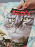 猫武士 一部曲（首部曲）全套6册 奇幻儿童文学励志小说 实拍图