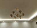韵钰 欧式水晶吊灯客厅灯轻奢大气餐厅卧室简约现代灯具套餐北欧灯饰 灯臂发光6头-配全光谱三色光源 实拍图