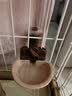利其尔猫咪悬挂式饮水器狗狗猫笼子固定自动喝水器水碗 棕色 S号【现货】 实拍图