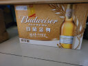 百威Budweiser/百威金尊啤酒 330mL 24瓶 晒单实拍图