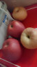 蜜语桃缘水果 新疆冰糖心苹果红富士丑苹果 新鲜时令水果礼盒 10斤装精选一级果 单果75-85mm 实拍图