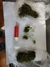 逸乐宠 鱼缸造景水草前景草爬地迷你矮珍珠牛毛天胡葵挖耳叉柱花水榕 香蕉草 实拍图