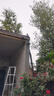 BELAN 太阳能灯照明灯户外庭院灯家用LED投光灯露营营地灯室外防水路灯 聚光款+800W遥控+5米线 实拍图