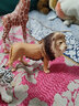 思乐（Schleich S）仿真动物模型 老虎狮子狼豹白虎猞猁男女孩儿童玩具生日礼物3+ 狮子14812 实拍图