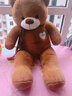 璇卉熊毛绒玩具泰迪熊公仔布娃娃玩偶抱抱熊大号睡觉抱枕送女友情人节礼 熊猫公仔咖啡色 1米 实拍图