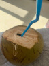 南象婆海南带皮大椰青椰子【产地直发 新鲜到家】青皮椰新鲜椰奶冻椰宝 8个 实拍图
