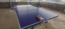 双鱼（DOUBLE FISH） 乒乓球桌标准可移动折叠式乒乓球台室内家用训练比赛乒乓球案子 2028S【含网架球网球拍乒乓球】 晒单实拍图