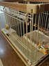 爱丽思（IRIS）狗围栏宠物笼子狗狗木质狗栅栏猫咪护栏大型犬泰迪用品 S号茶色【暖冬套餐】 笼顶需加拍 实拍图