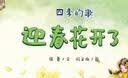 四季的歌 迎春花开了  实拍图