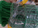 君吻铁丝网围栏防护网养殖网荷兰网牛栏网隔离网养鸡鸭鹅铁网包塑栅栏 1.5米高*30米长【6厘米网孔】 2.3毫米粗 实拍图