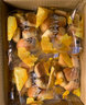 豪士（HAOSHI）夹心小小面包整箱吐司酸奶乳酸菌早餐代餐饼干蛋糕休闲零食品 小小面包380g+嫩蛋糕370g 实拍图