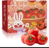 京地达千禧圣女果2.25kg装 寿光小番茄小西红柿 新鲜水果蔬菜源头直发 晒单实拍图