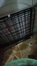 养只宠物（YOUNGER PET）宠物围栏狗狗室内狗笼子中小型犬泰迪柯基隔离门防护栏栅栏狗窝 狗围栏（加粗2*3） 实拍图