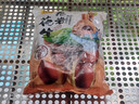 其妙 龙岩花生带壳炒制小花生散装休闲零食批发 五香花生 500g*1袋 实拍图