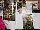 多肉女王的花园：多肉养护及设计精要事典 实拍图