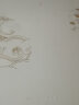 得力(deli)钢笔签字笔宝珠笔 颐和园礼盒套装 商务送礼 教师节礼物男女生日 0.5mm子弹头白色 SG900 晒单实拍图