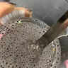 网红兰香子奇亚籽罐装无添加食用明列子南眉籽海葡萄即食奶茶专用 1罐奇亚籽共500克 实拍图