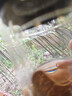 【⭐京东物流配送】高硼硅双层玻璃杯大容量泡茶杯水杯子茶水分离 【活动】 350ml 1只 实拍图